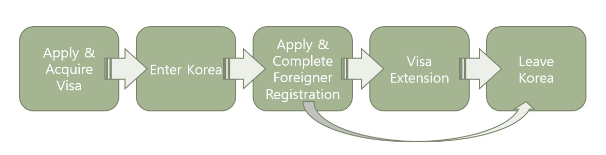 flowchart overview of visa process